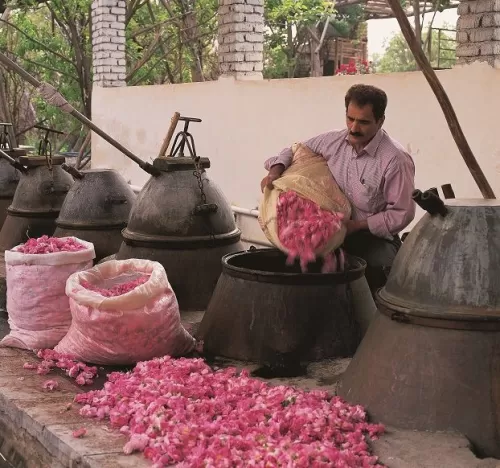 مجموعه ادوات و آلات گلابگیری سنتی