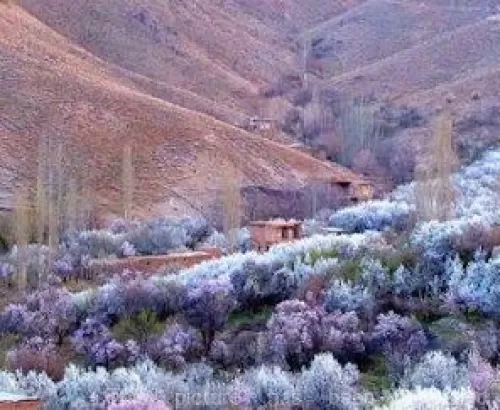 روستای قزاآن 